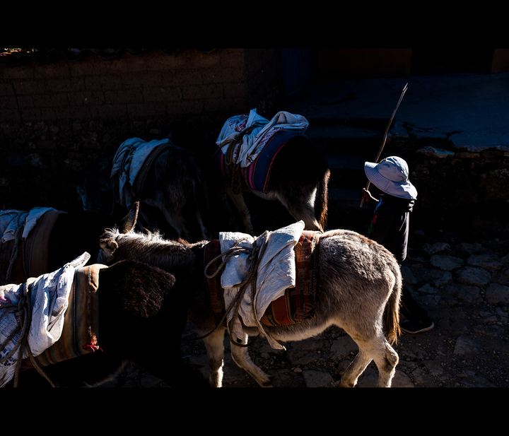Dossiê Bolivariano — fotografia 73