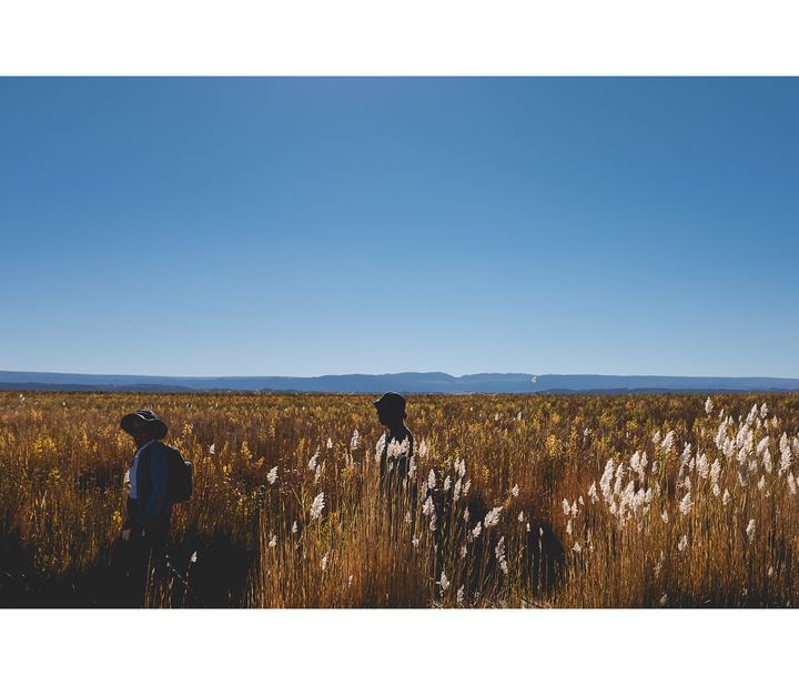 Soroche — fotografia 32