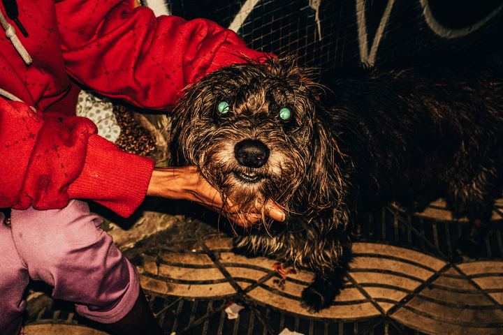 Vezo — fotografia 11