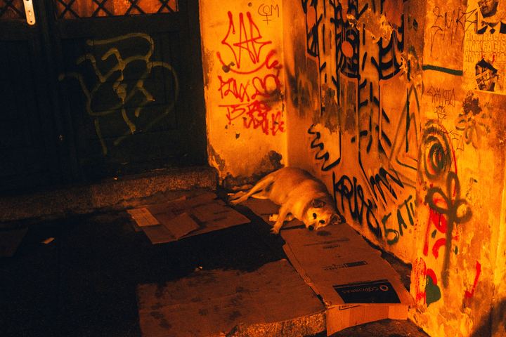 Vezo — fotografia 44