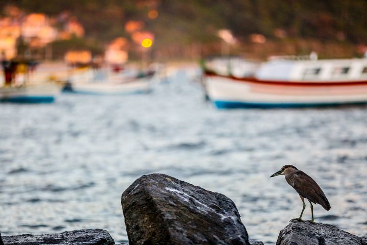 Paisagens — fotografia 11