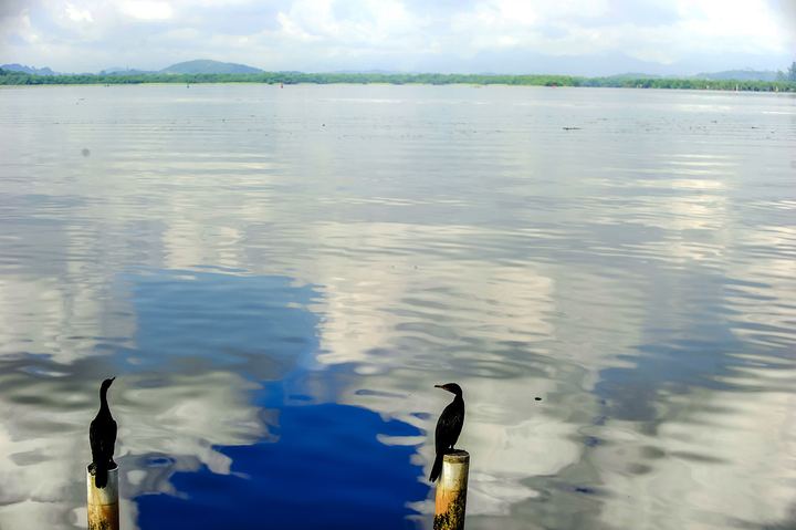 Paisagens — fotografia 12