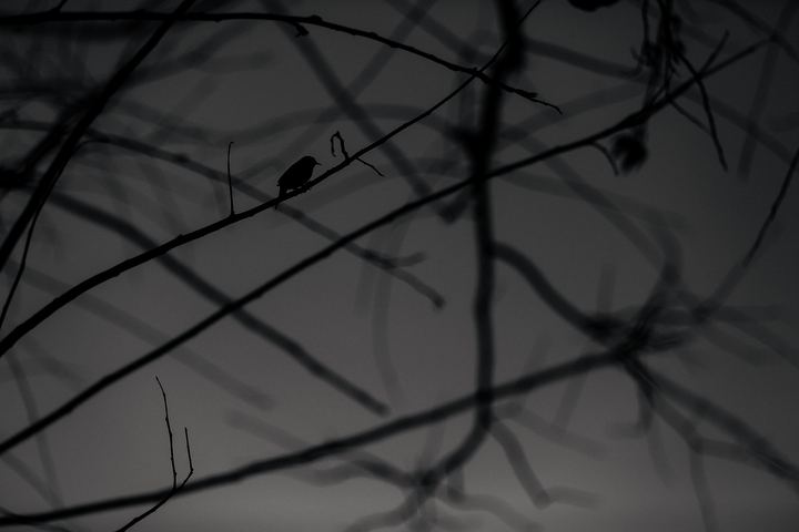 Paisagens — fotografia 43