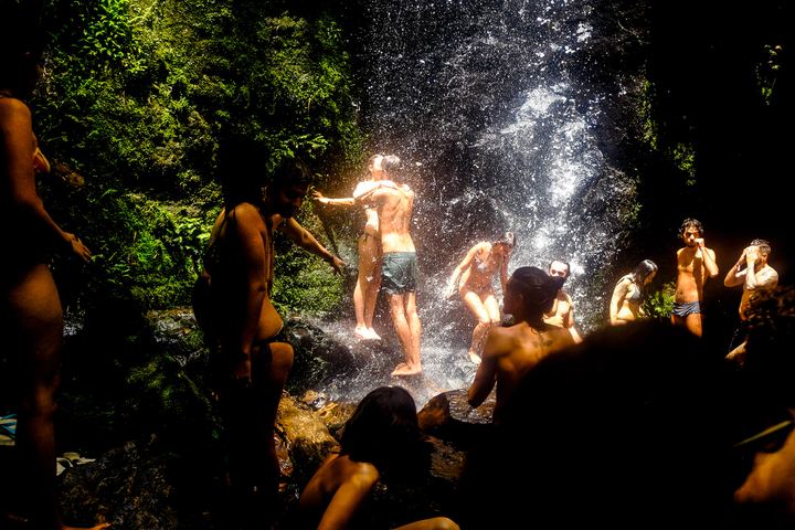 Dália — fotografia 7