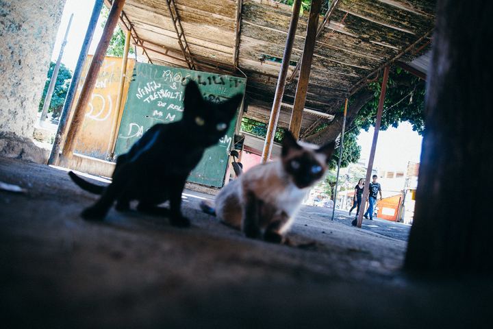 Intervenção na VK — fotografia 3